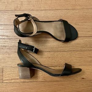 Madewell Block Heel Leather Ankle Strap Sandals